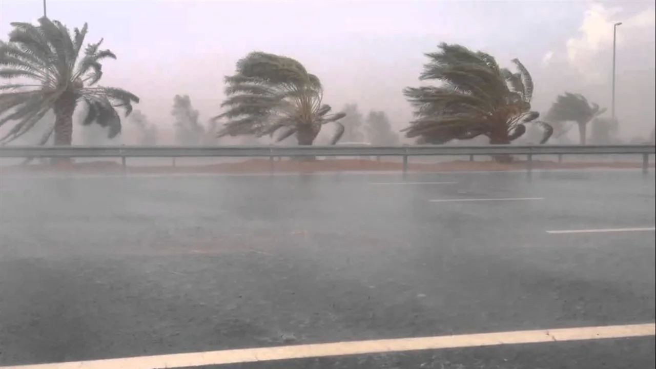 انخفاض تدريجي في درجات الحرارة ورياح نشطة من الثلاثاء حتى السبت المقبل